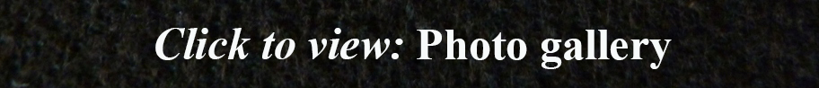 Photo gallery.jpg